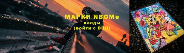 шишки Белоозёрский