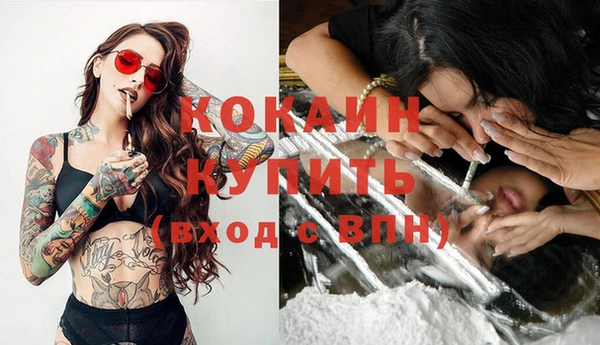 шишки Белоозёрский