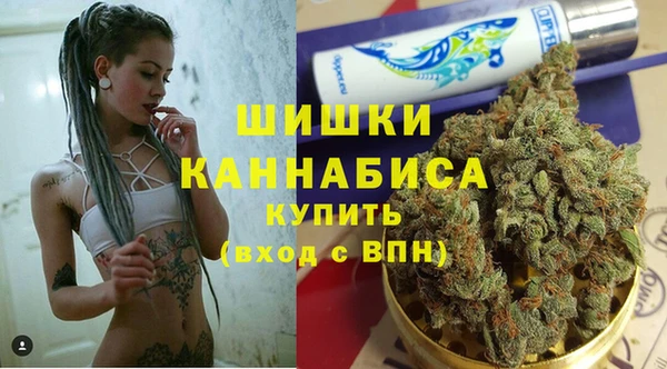 шишки Белоозёрский