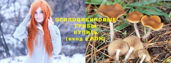 шишки Белоозёрский