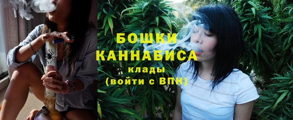 шишки Белоозёрский