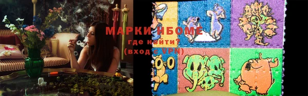 шишки Белоозёрский