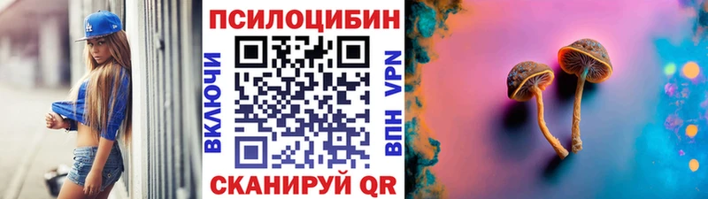 KRAKEN ССЫЛКА  Санкт-Петербург  Галлюциногенные грибы мицелий 